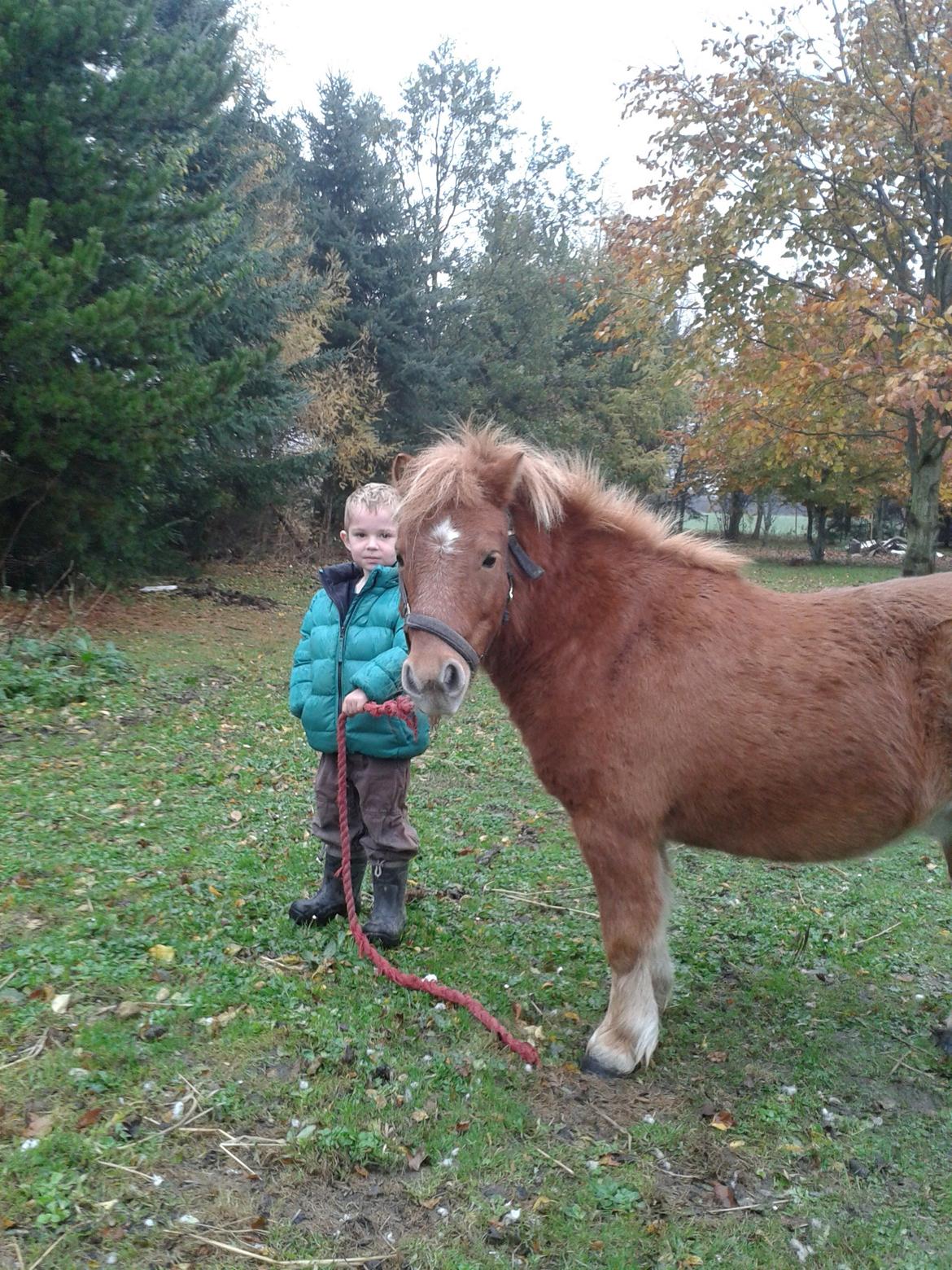 Anden særlig race sambo billede 2