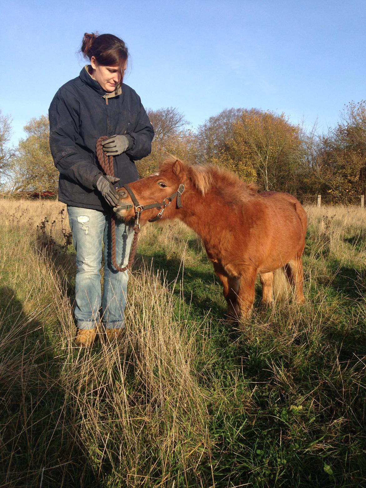 Anden særlig race sambo billede 3
