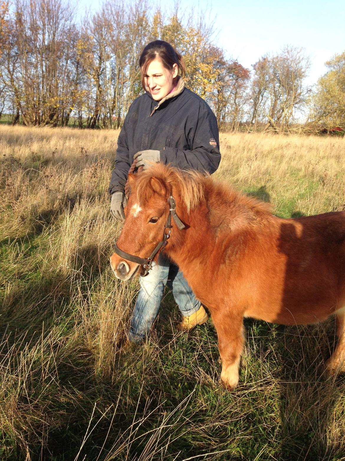 Anden særlig race sambo billede 4