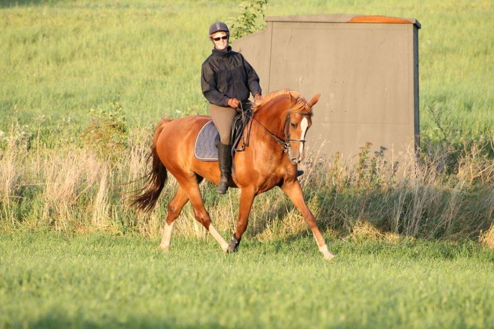 Frederiksborg Lady Safira Lykkebo - Bare ganske almindelig hygge billede 12