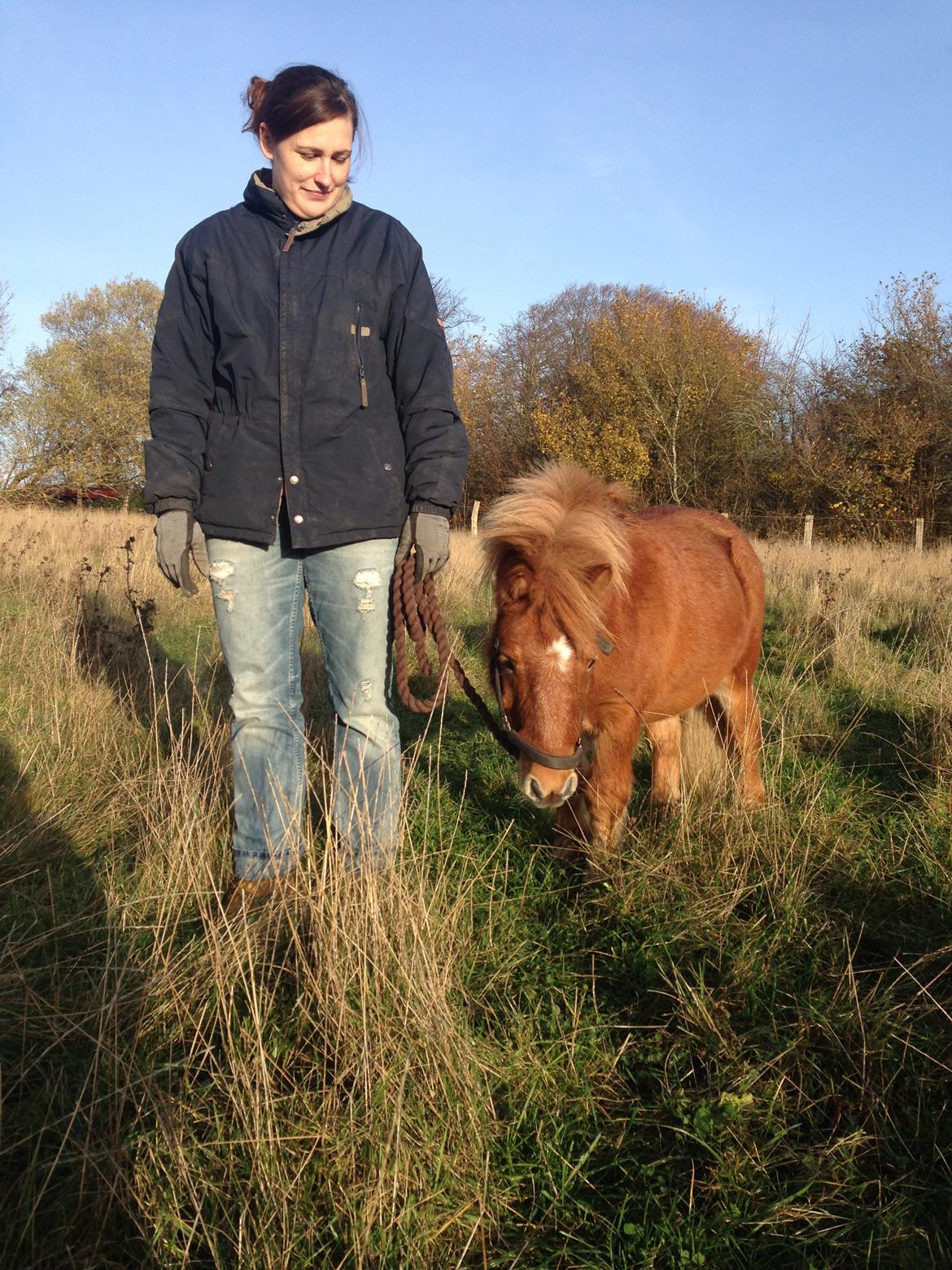 Anden særlig race sambo billede 13