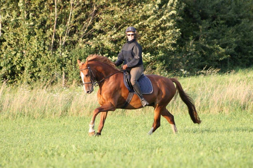 Frederiksborg Lady Safira Lykkebo - Mere hygge billede 13