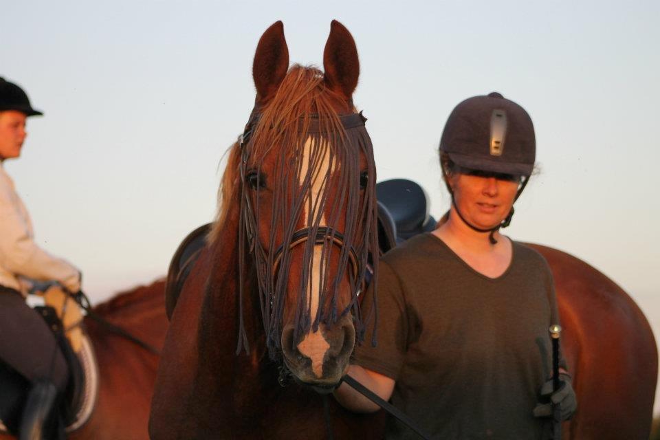 Frederiksborg Lady Safira Lykkebo - Safira efter træning stadig med ørene fremme billede 14