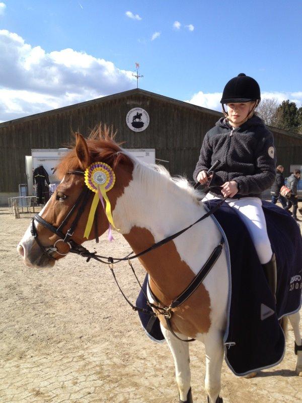 Hollandsk Sportspony Zwier - Zwier og hans nye ejer i københavn :-) billede 20