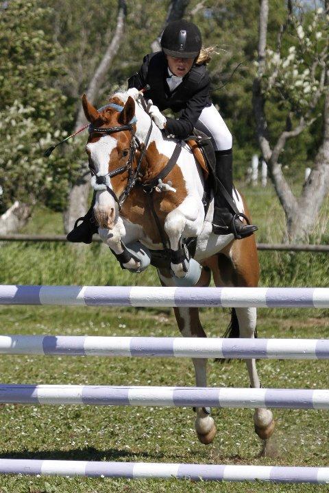 Hollandsk Sportspony Zwier - Et af vores første stævner sammen. Begge meget urutineret Zwier kun 6 år gammel og jeg 12 år ca. billede 6