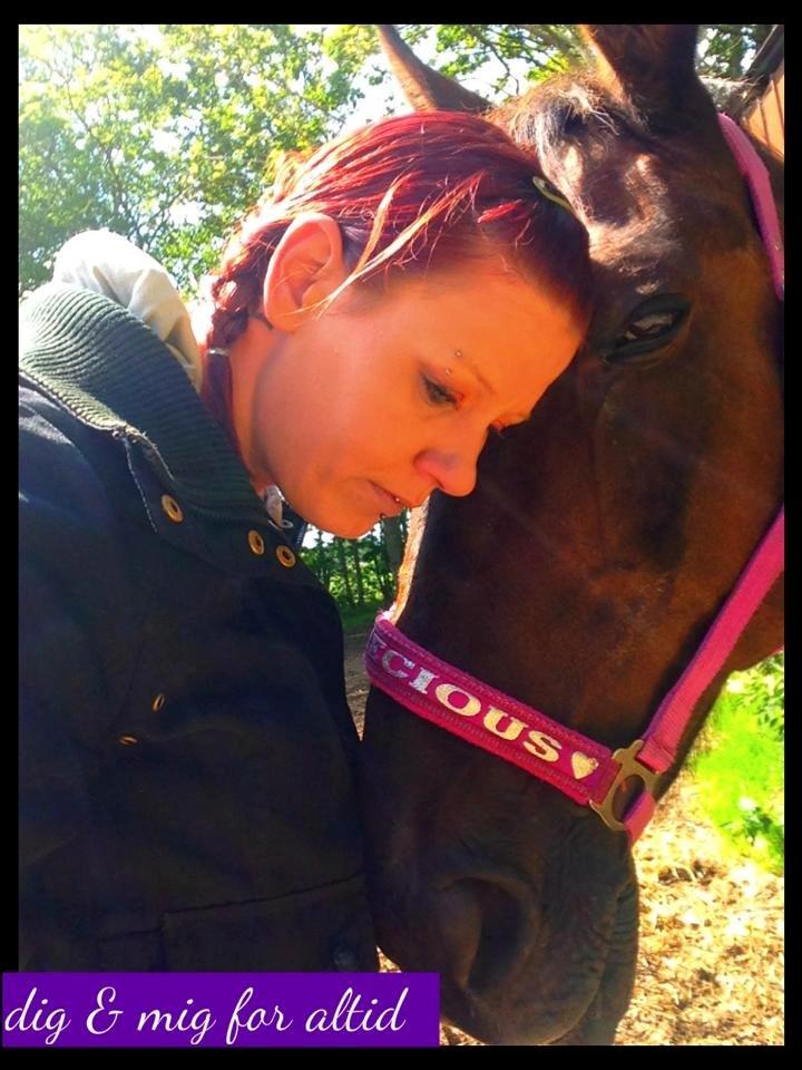 Traver Nikita ås billede 1