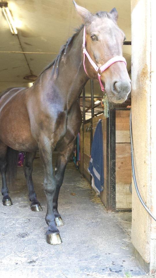 Traver Nikita ås billede 36