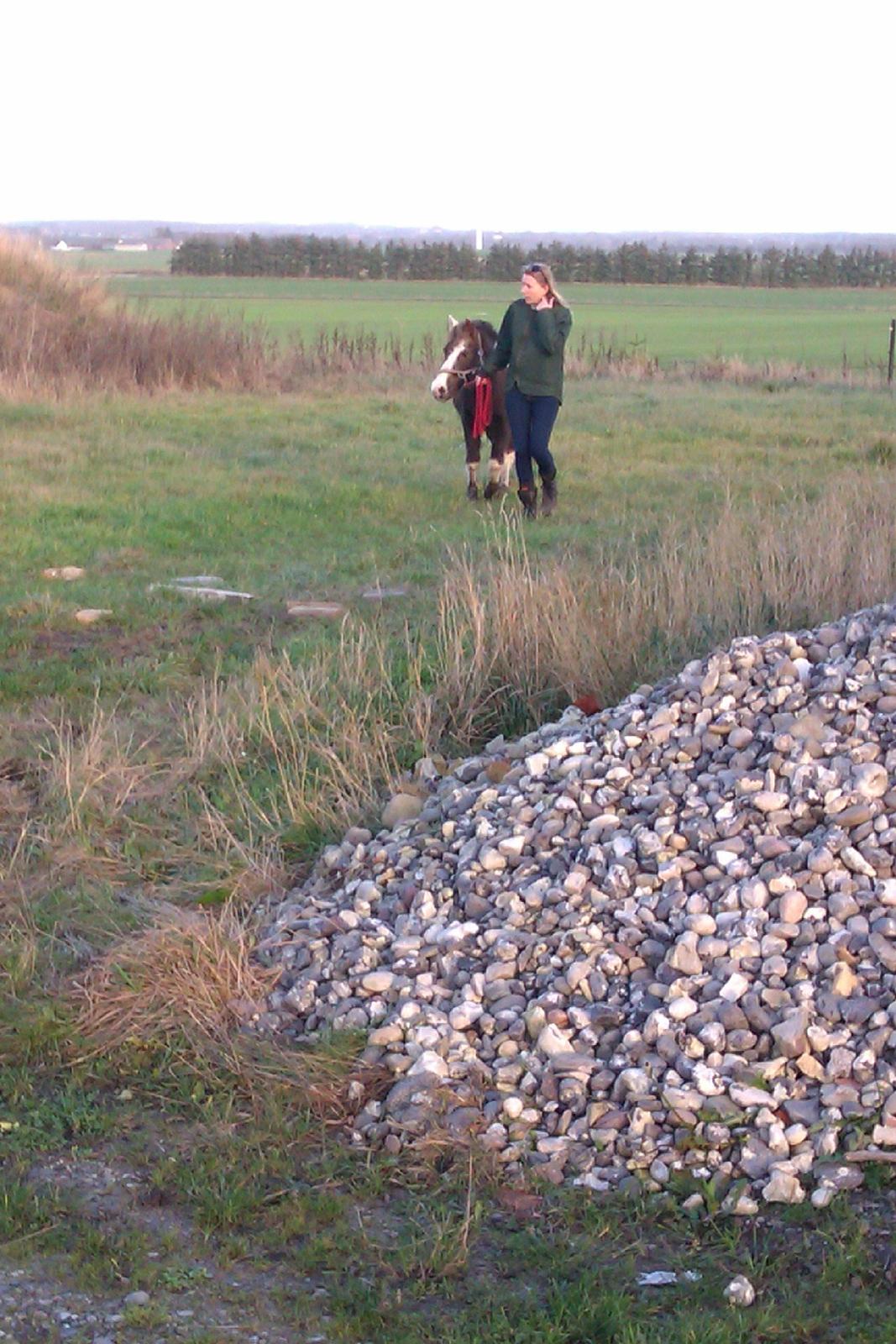 Anden særlig race strøgårdens mickey billede 3