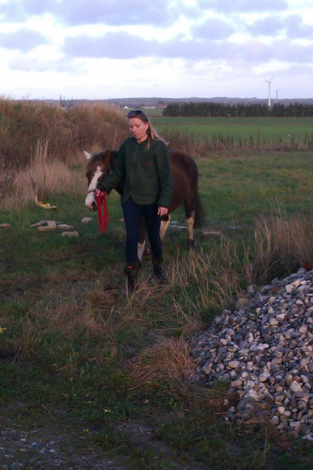 Anden særlig race strøgårdens mickey billede 4