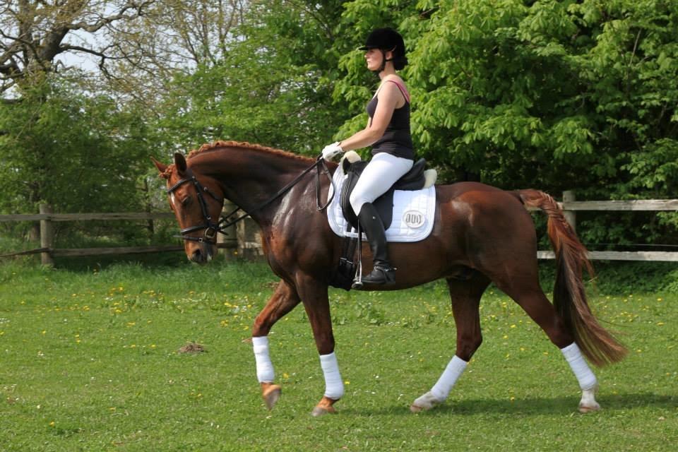 Anden særlig race Figaro <3 - Stævne 2013 billede 1