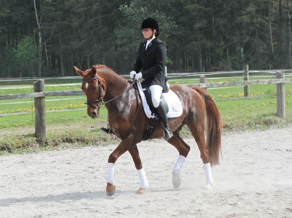 Anden særlig race Figaro <3 - Stævne 2013 billede 3