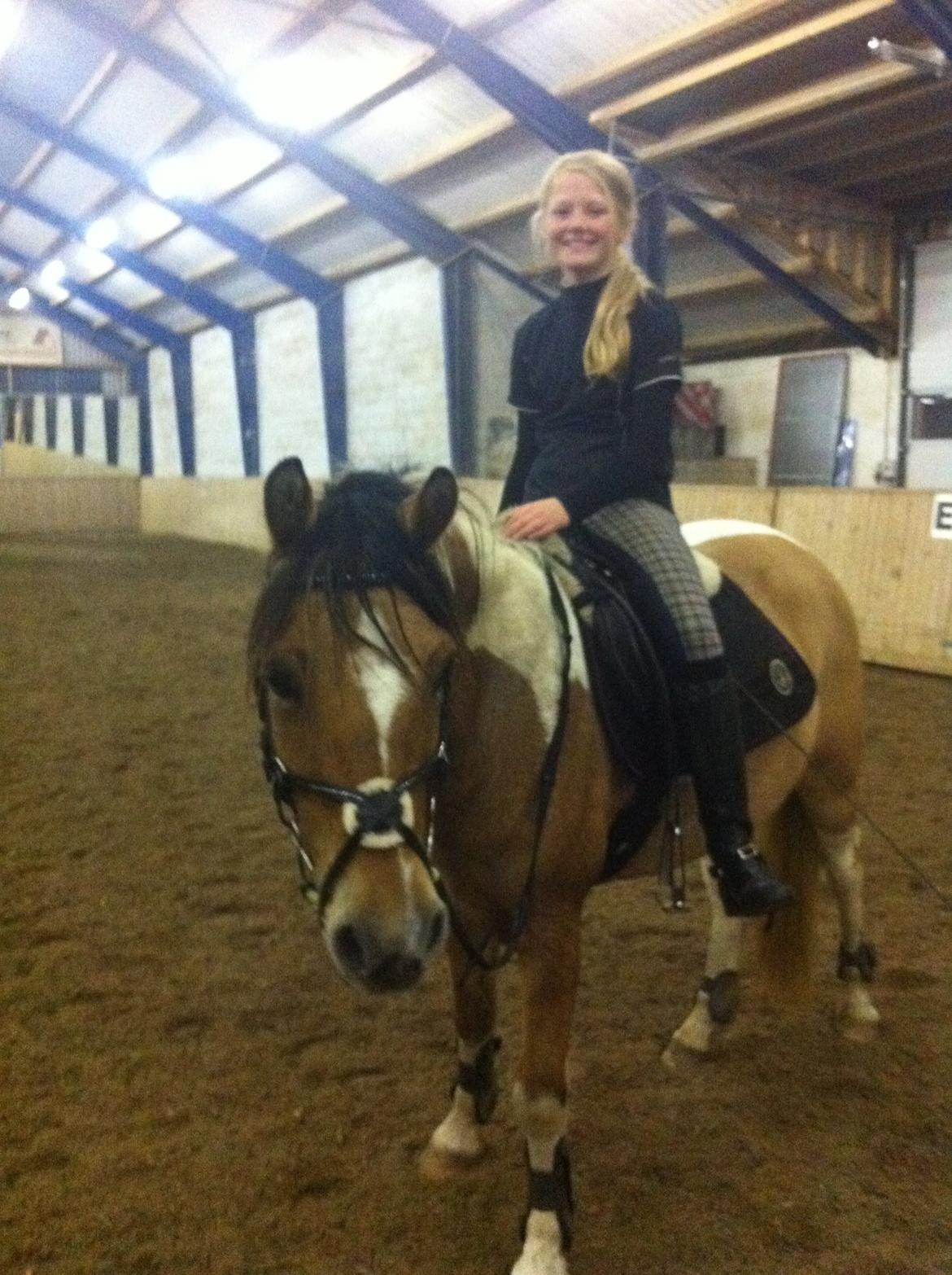 Hollandsk Sportspony Capello ivo - ,when life gives you a 100 reasons to cry, show life you have 1000 reasons to smile.'
 billede 17