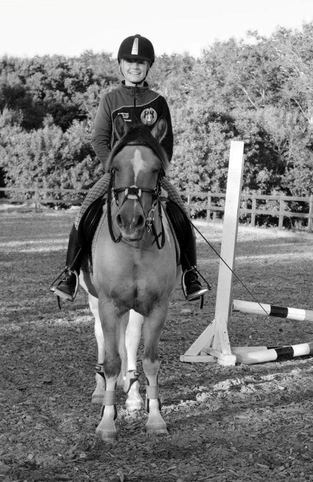 Hollandsk Sportspony Capello ivo - If I could give you one thing in life, I would give you the ability to see yourself through my eyes, only then you would realize how special you are to me billede 2