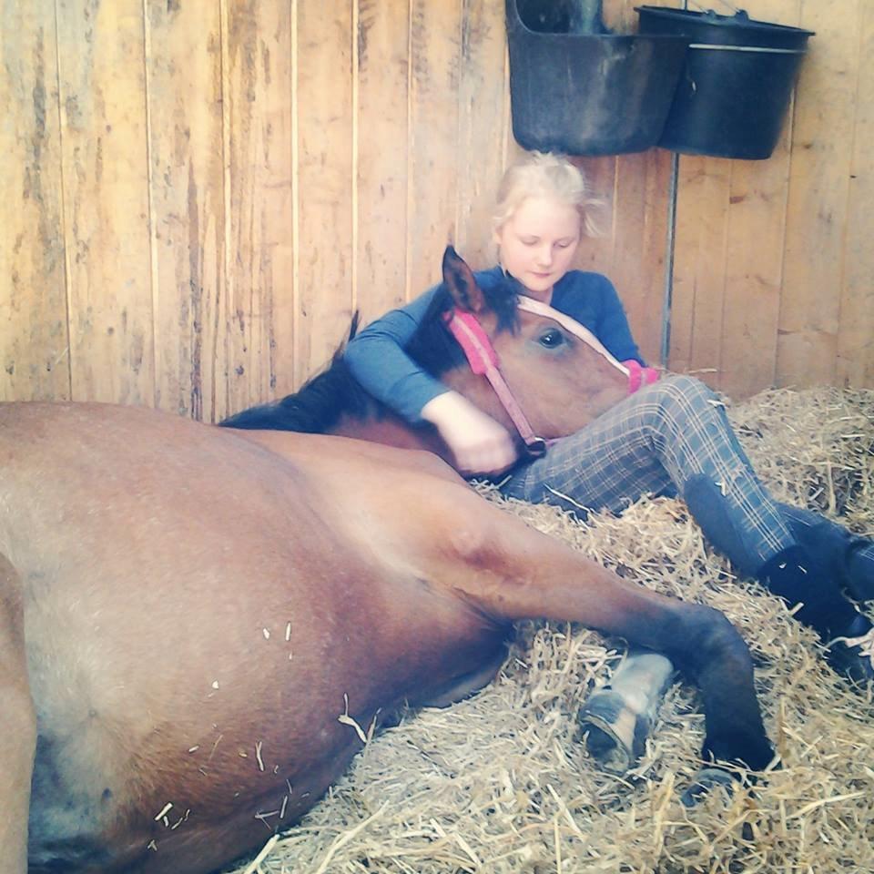 DSP Born to be charming - Min lille pige, er en meget hyggetrold billede 1