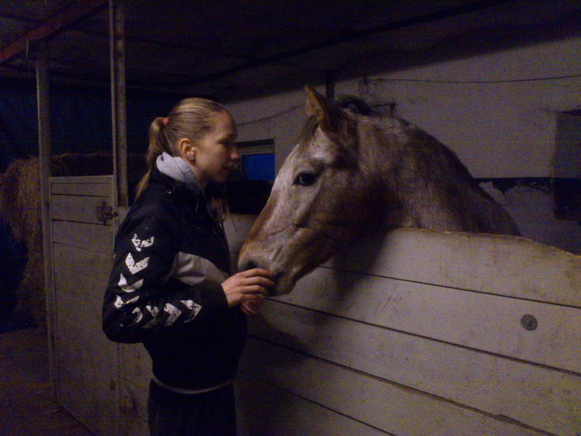 Anden særlig race Flying Snowflake aka. Fnuggi knabst./araber. billede 15