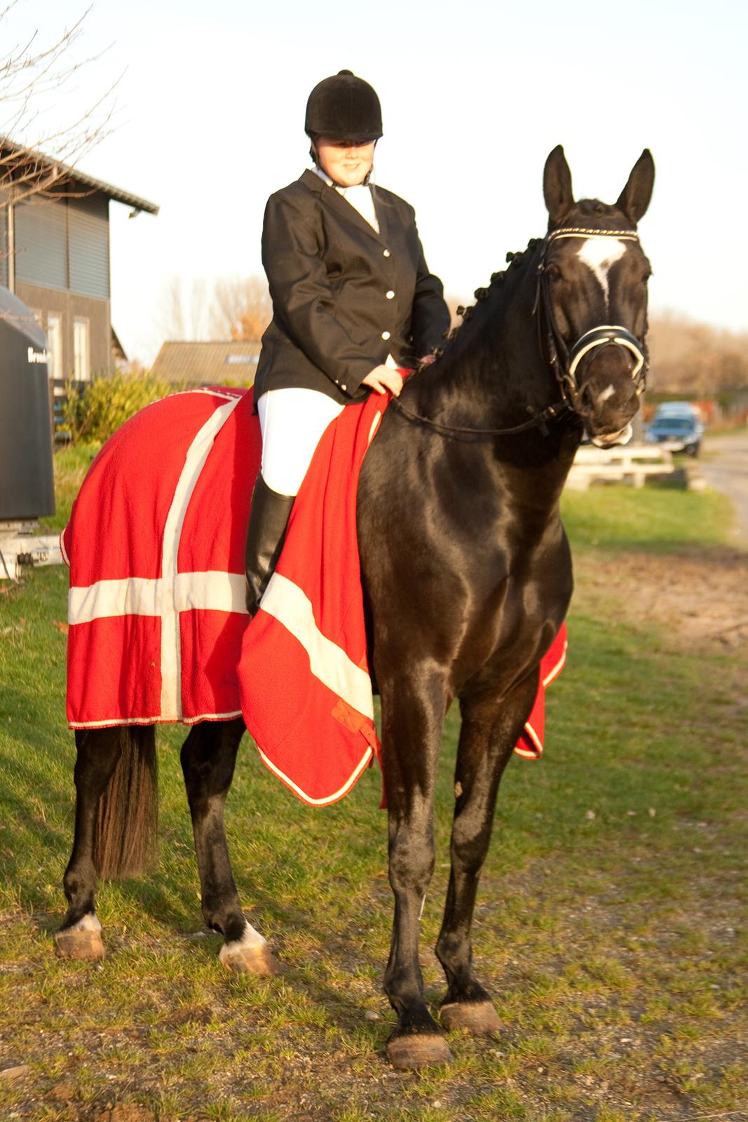 Oldenborg Safian's Sonjacin billede 5