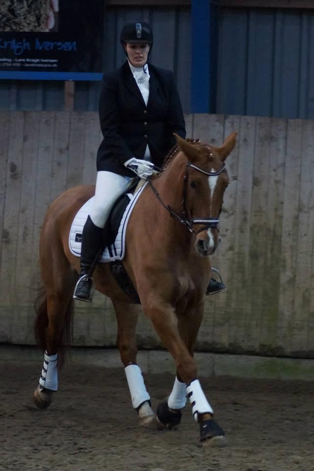 Anden særlig race Athene (SOLGT) - NYT: Athene i LD2 :) billede 25