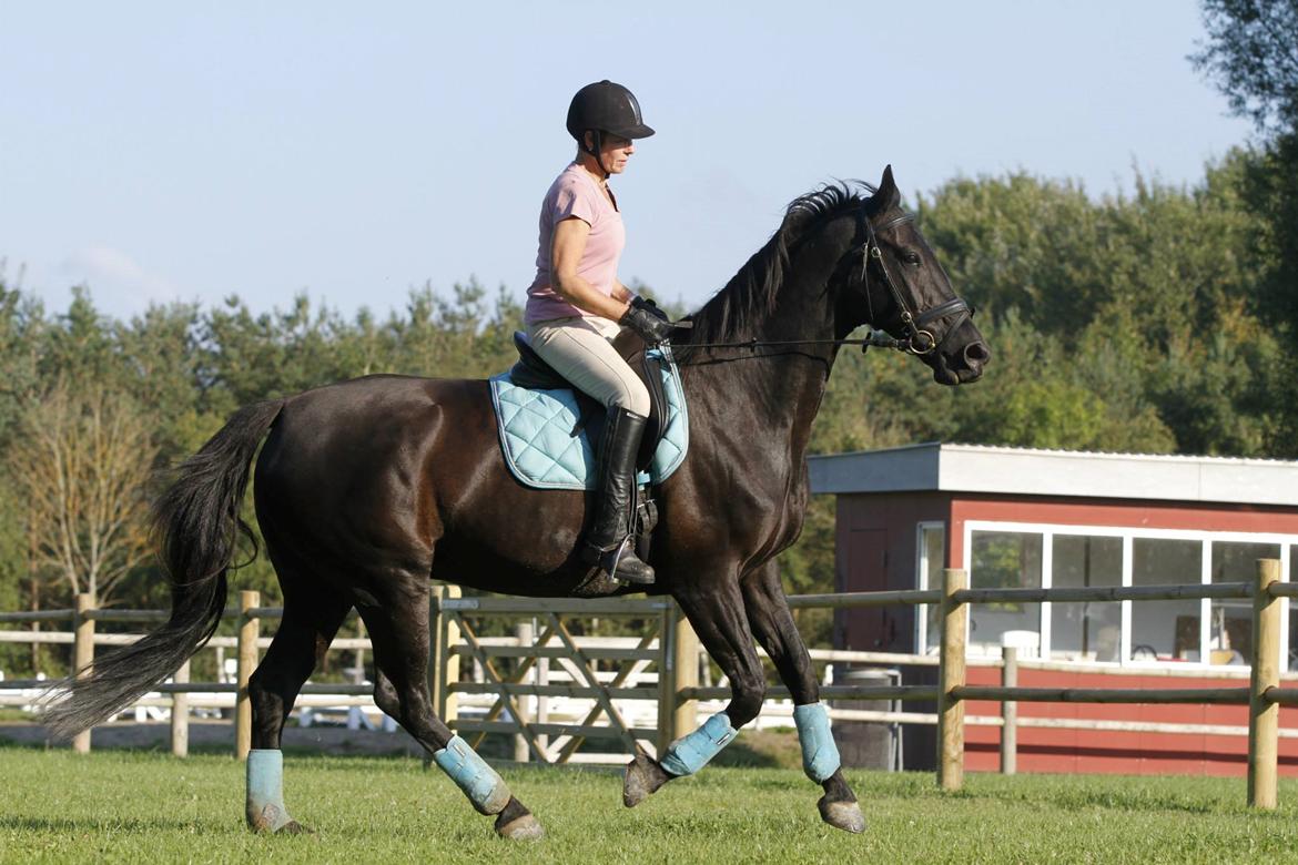 Oldenborg Fortuna af Hvarre billede 10