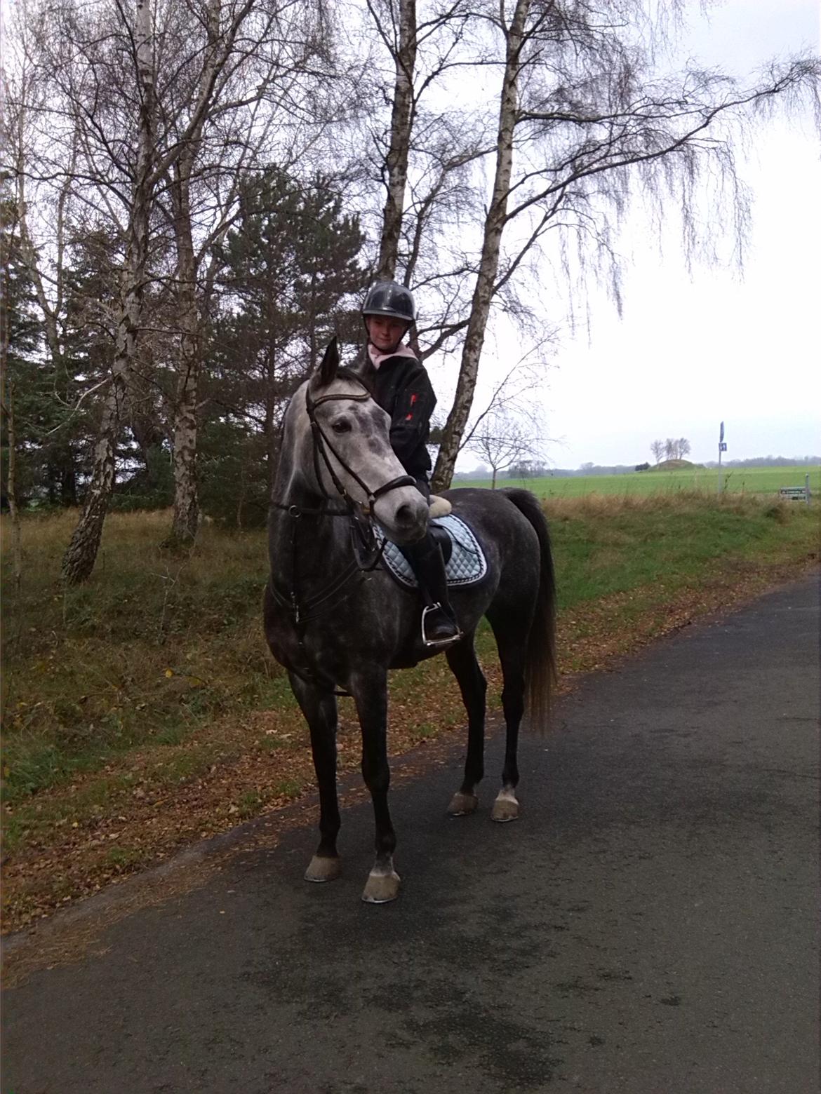 Anden særlig race soleo - første ridetur på bornholm <3 (19-11-13) billede 6