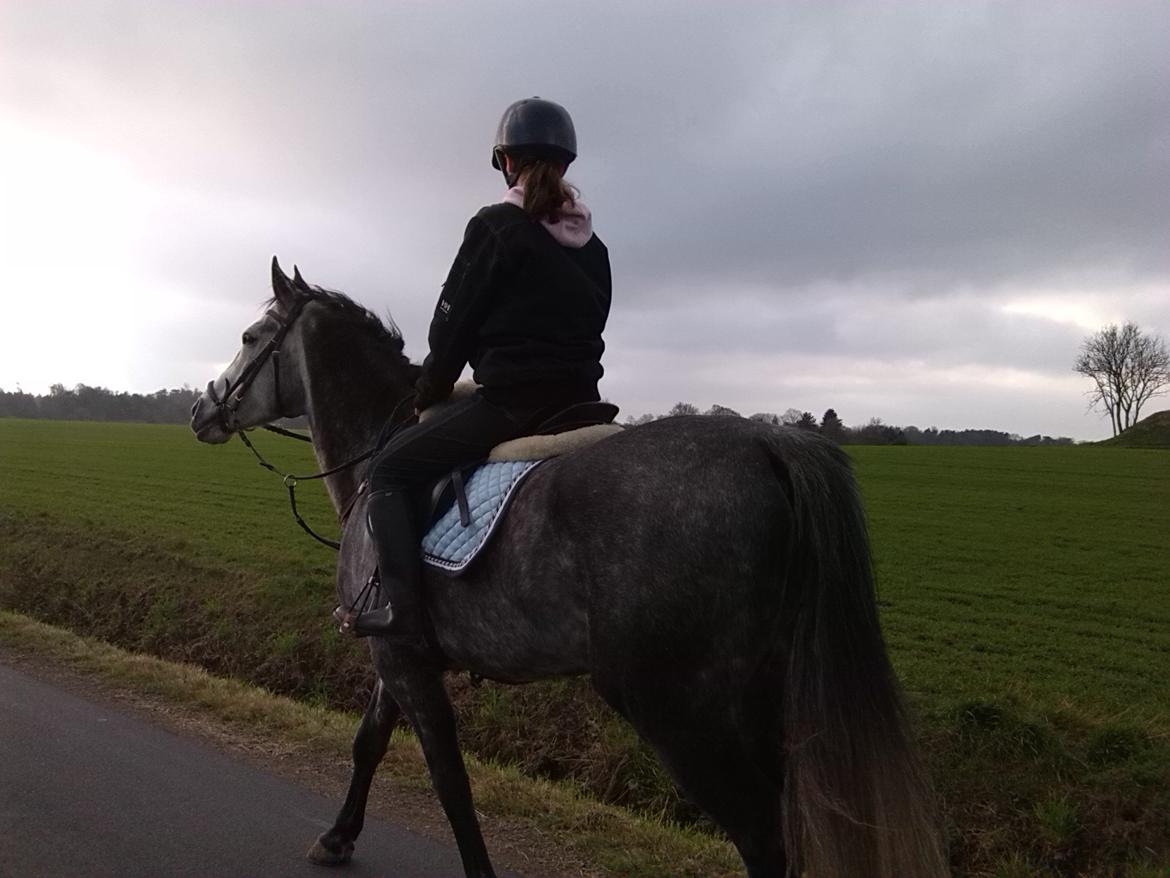 Anden særlig race soleo - når enden er god er alting godt<3 billede 10