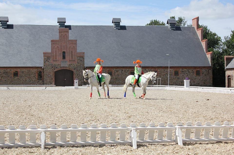 Anden særlig race HABIDI - Verdens stærkeste pige (piger) og de dejlige ponyer. Habidi og Minion billede 12