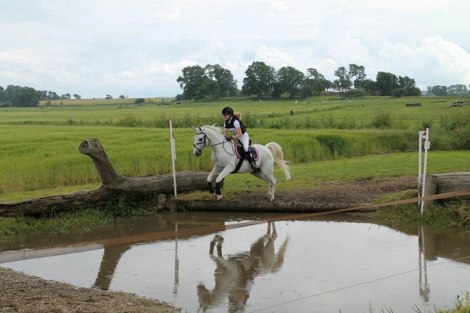 Anden særlig race HABIDI billede 3