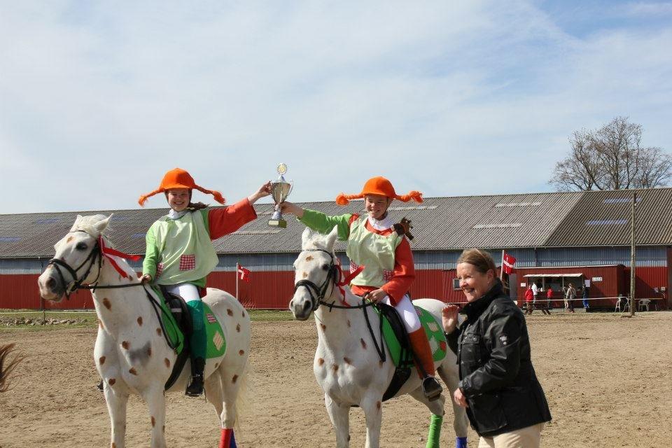 Anden særlig race HABIDI - Diskrit mestre 2013 billede 13