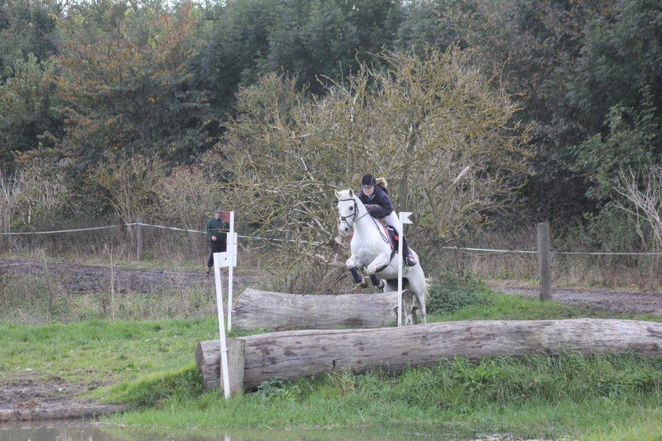 Anden særlig race HABIDI billede 4