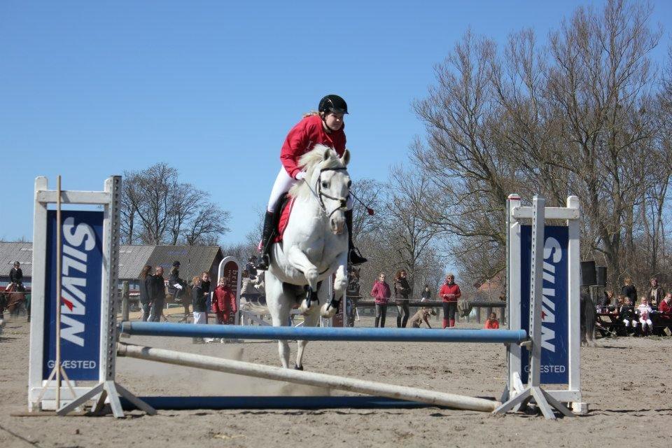 Anden særlig race HABIDI billede 5