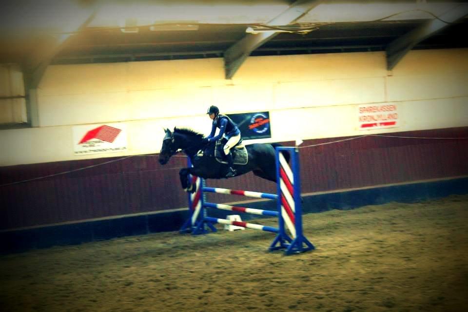 Anden særlig race Bastian billede 12