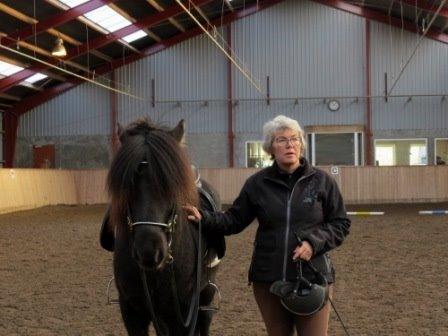 Islænder Samúel fra Tornbjerg solgt  billede 10