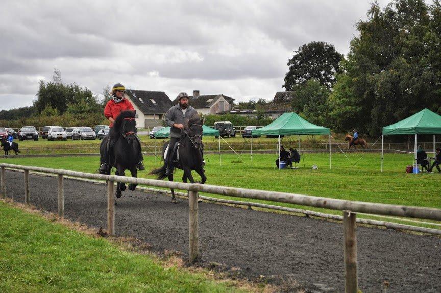 Islænder Raun fra Lille Nørregård solgt  billede 16