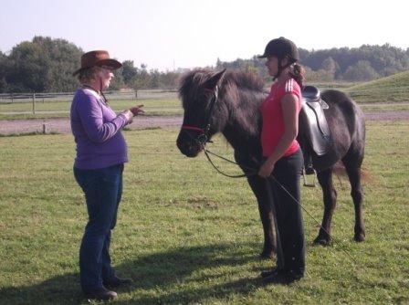 Islænder Raun fra Lille Nørregård solgt  billede 19