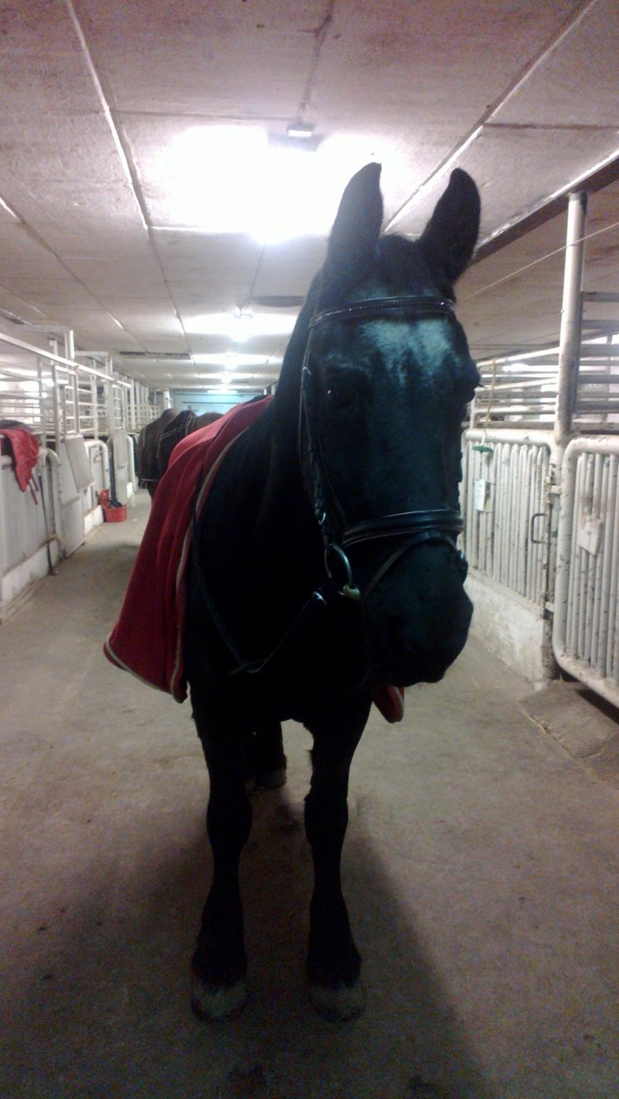 Frieser Thea billede 10