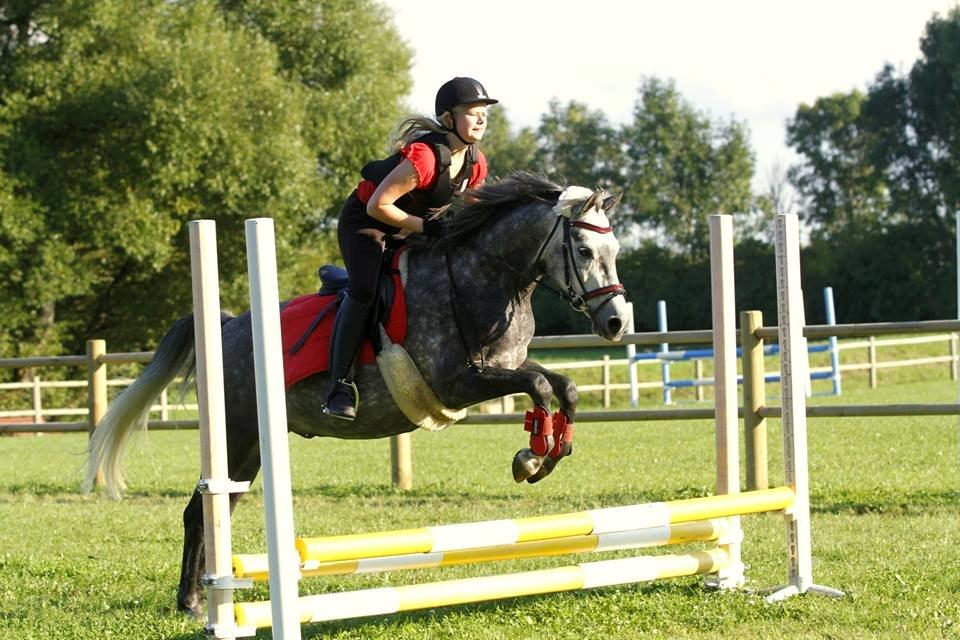 Sportsaraber (A) Adonis - Opstart af springundervisning med Bøffen <3 billede 12