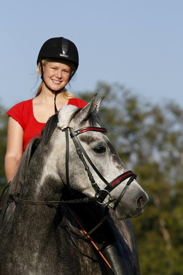 Sportsaraber (A) Adonis - <3 billede 2