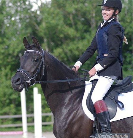 Arabisk fuldblod (OX) AZIZA CHACIA LYKKE billede 10