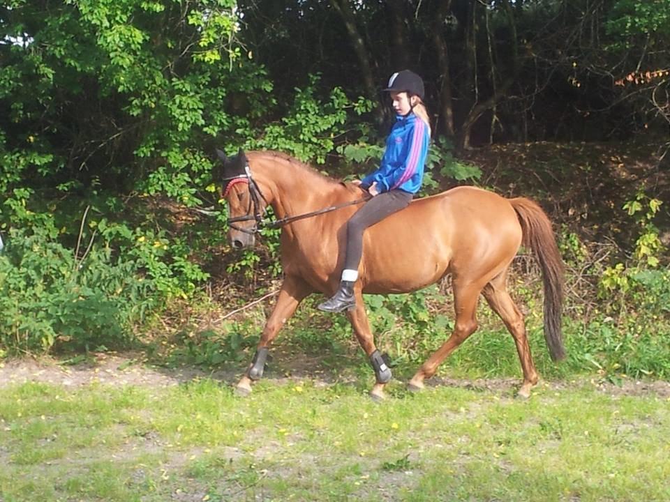 Anden særlig race pony - tak fordi i kiggede med <3 billede 20