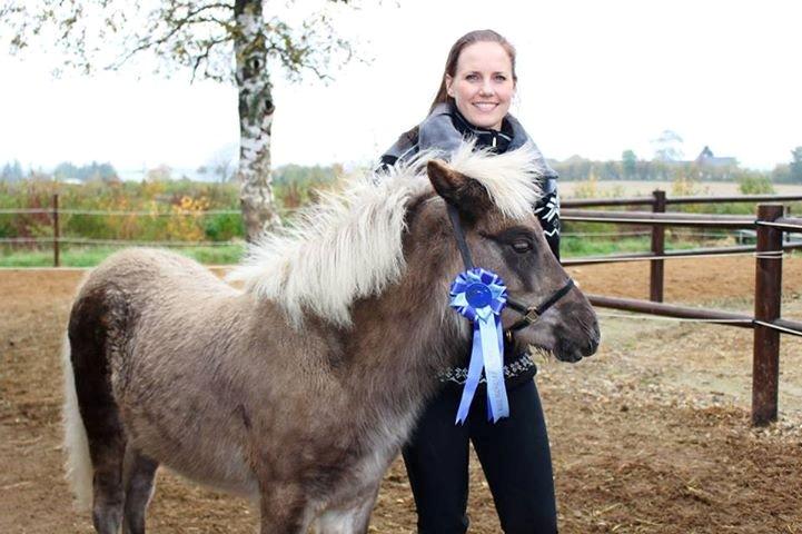 Islænder Þorsteinn fra Lykkegården billede 8