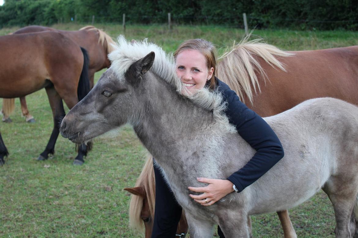 Islænder Þorsteinn fra Lykkegården billede 7