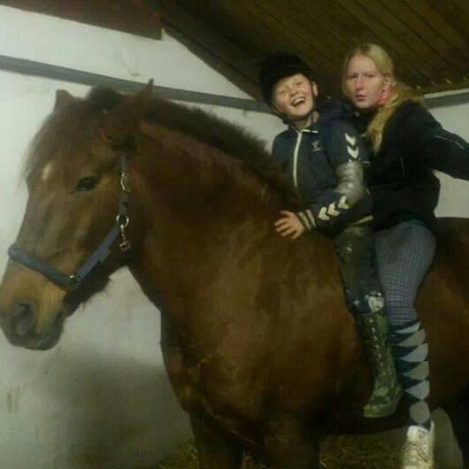 Anden særlig race Martha billede 12