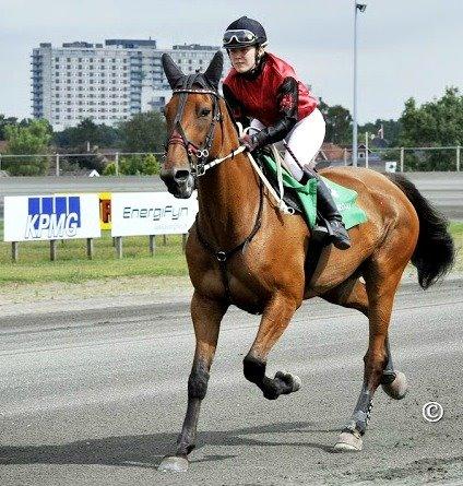 Traver C My Surprise billede 4