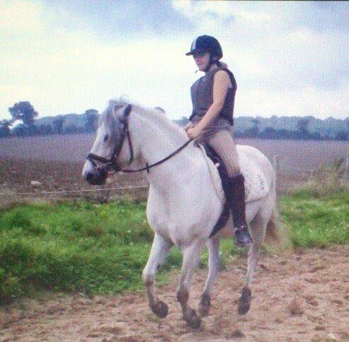 Anden særlig race Lille Ole (solgt) billede 12