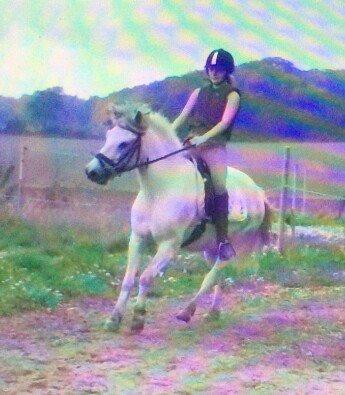 Anden særlig race Lille Ole (solgt) billede 13