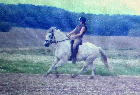 Anden særlig race Lille Ole (solgt) billede 14