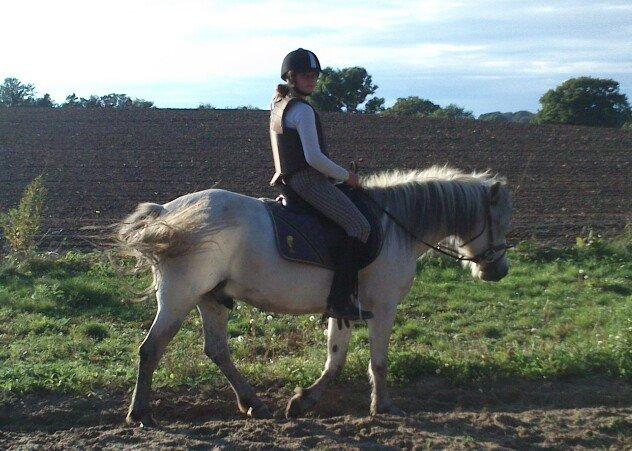 Anden særlig race Lille Ole (solgt) billede 15