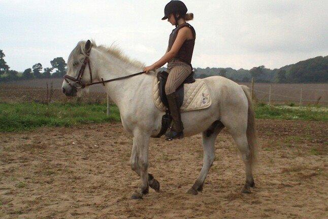 Anden særlig race Lille Ole (solgt) billede 16