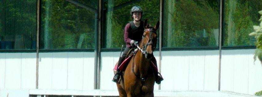 Traver C My Surprise billede 13