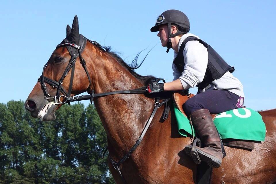 Traver C My Surprise billede 18