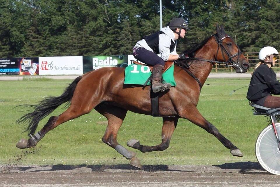 Traver C My Surprise billede 3